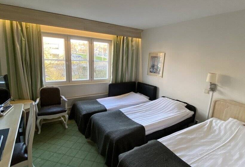 エコノミートリプルルーム, Molndals Bro