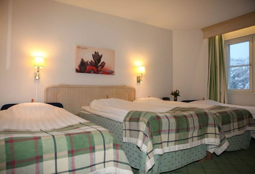 ファミリールーム, Molndals Bro