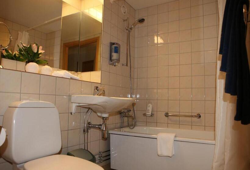 スーペリアシングルルーム, Molndals Bro