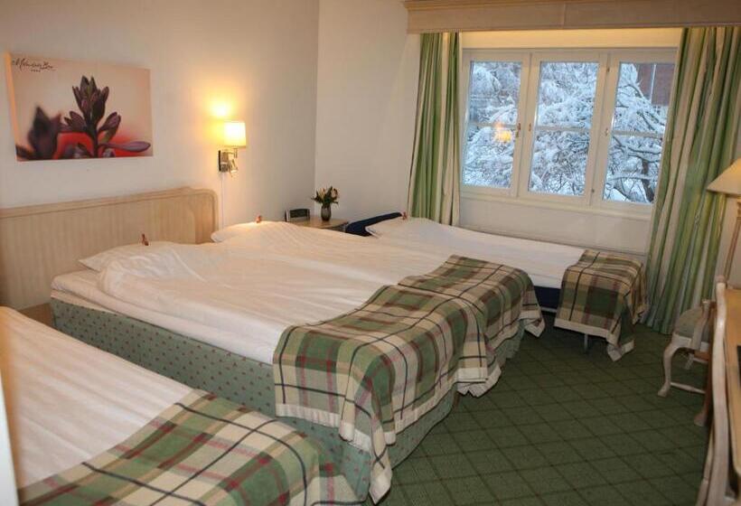 ファミリールーム, Molndals Bro