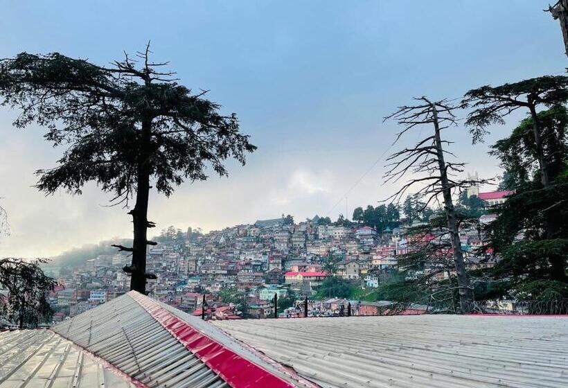 수피리어 룸, Willow Banks   Boutique 4 Star Hotel On The Mall Road Shimla