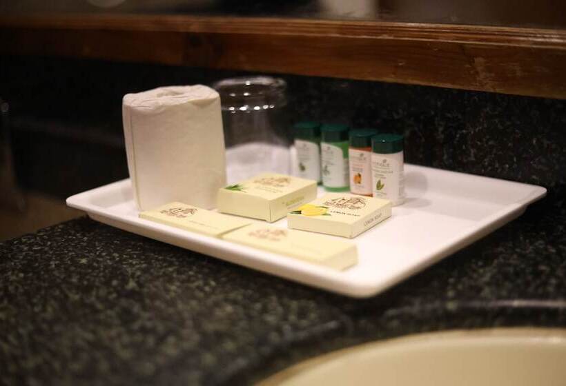 프리미엄 룸, Willow Banks   Boutique 4 Star Hotel On The Mall Road Shimla