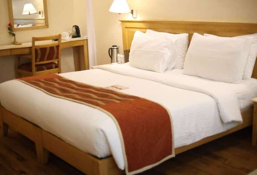 클럽 룸, Willow Banks   Boutique 4 Star Hotel On The Mall Road Shimla