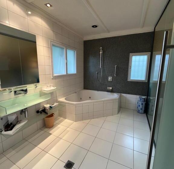 آپارتمان اجرایی 1 خوابه, Nice