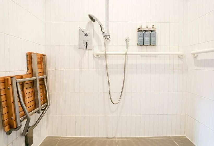 标准间带双层床, Arlo Soho