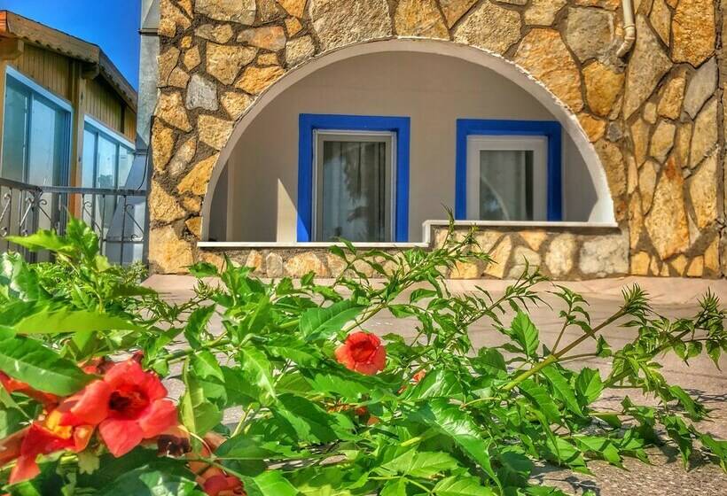 Номер Стандарт, Bitez Deniz