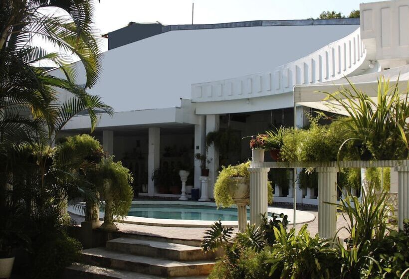 이코노미 싱글 룸, Grecia Real