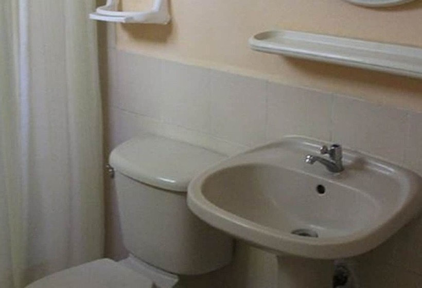 이코노미 싱글 룸, Grecia Real