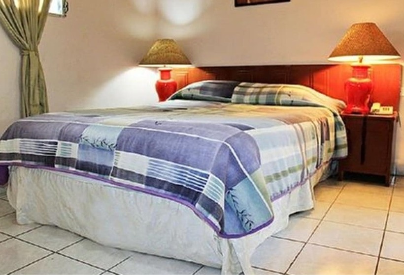 이코노미 싱글 룸, Grecia Real