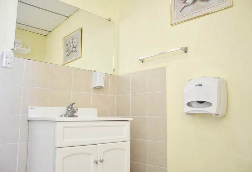 패밀리 룸, Grecia Real