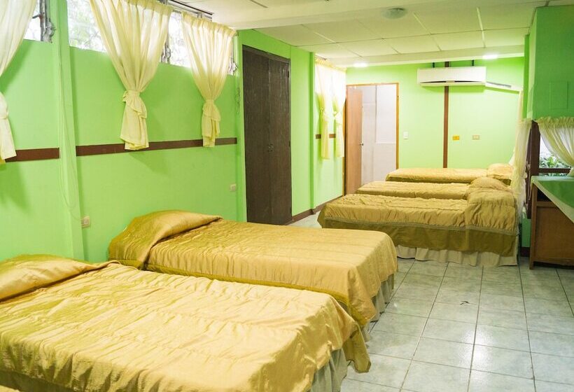 패밀리 룸, Grecia Real