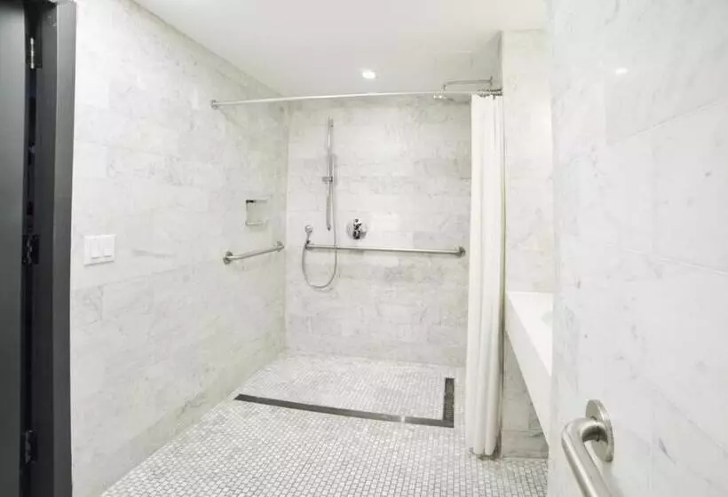 اتاق کلاسیک با تخت دونفره, The Tillary Hotel Brooklyn