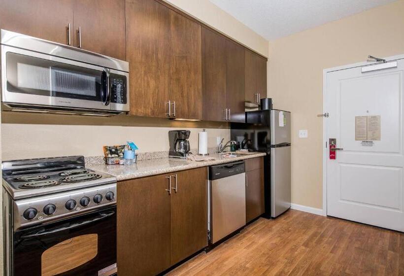 إستوديو قياسى, Towneplace Suites By Marriott Florence