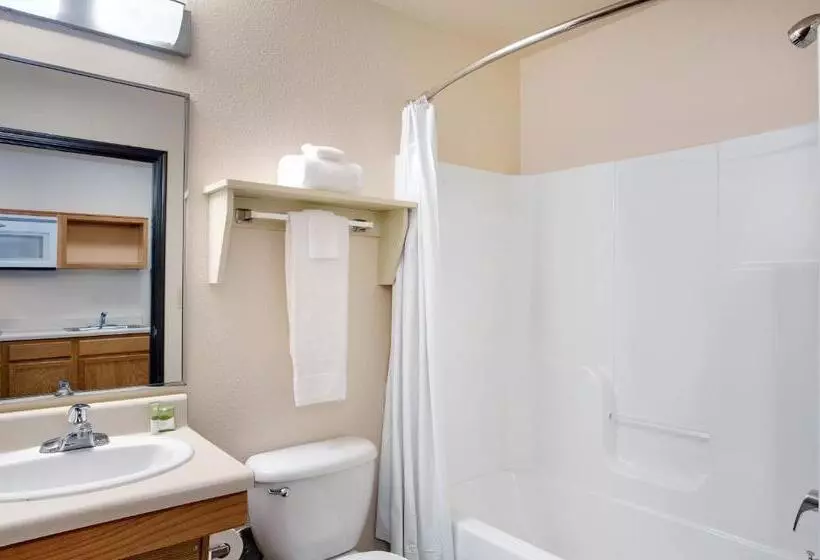 اتاق استاندارد برای معلولان, Woodspring Suites Asheville   Biltmore West