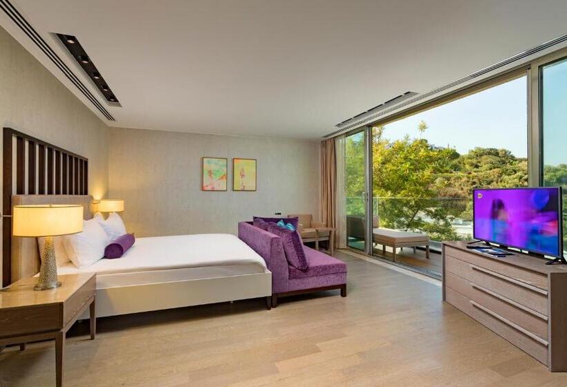 Вилла 1 Спальня, Sirene Luxury Hotel Bodrum