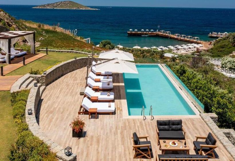 Вилла с 1 спальней и бассейном, Sirene Luxury Hotel Bodrum