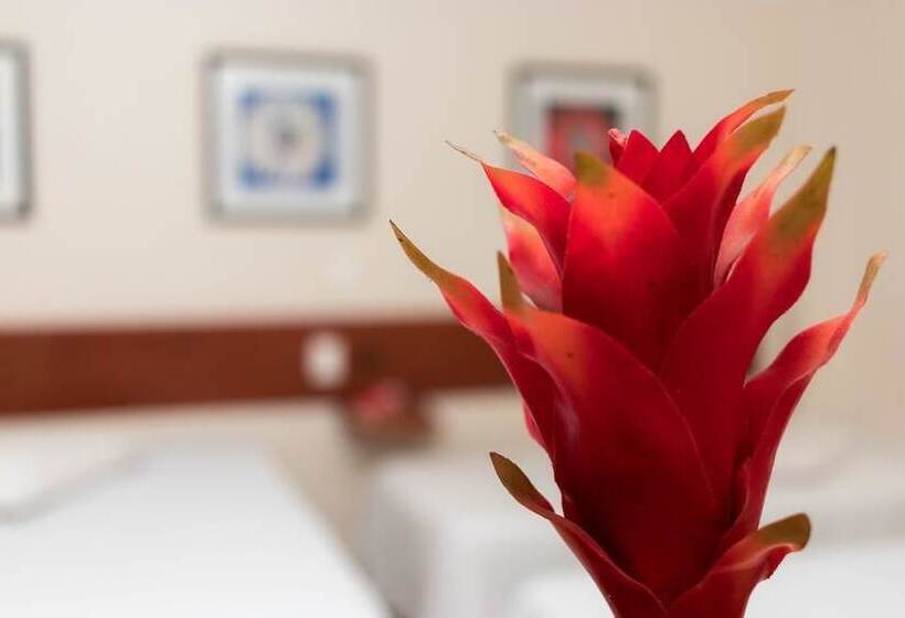 غرفة قياسية, Turis Hotel Centro