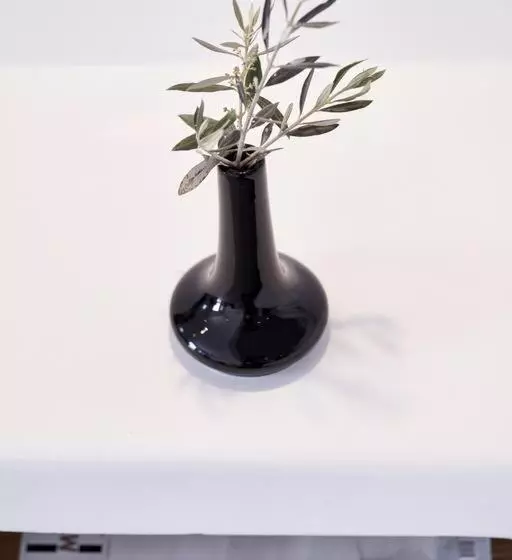 プールビュージュニアスイート, Villa Olga Lounge