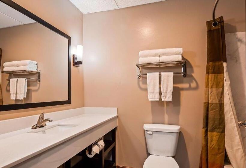 غرفة قياسية سرير كينج لذوى الإحتياجات الخاصة, Best Western Plus Zion West