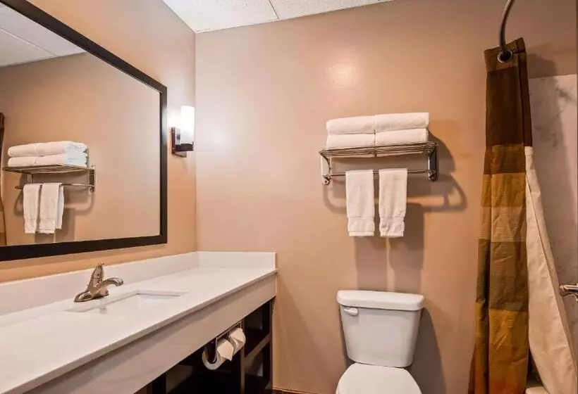 身障者適用キングサイズベッドルーム, Best Western Plus Zion West