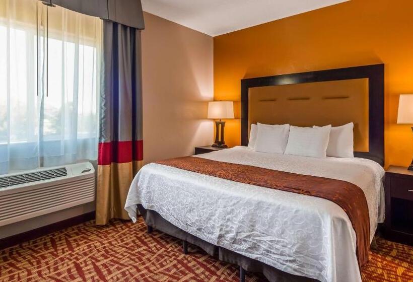 جناح سرير كينج, Best Western Plus Zion West