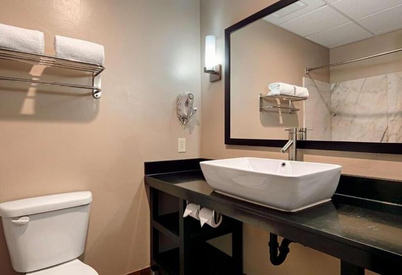 Люкс, Best Western Plus Zion West