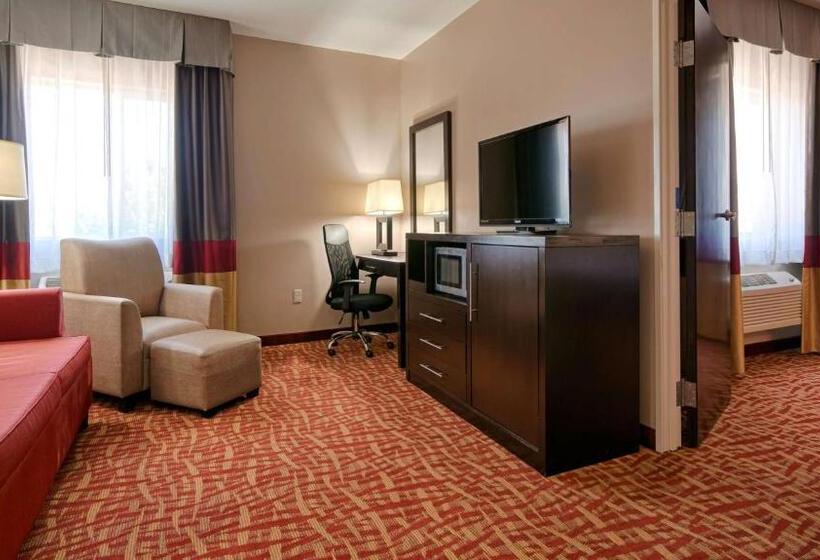 جناح سرير كينج, Best Western Plus Zion West