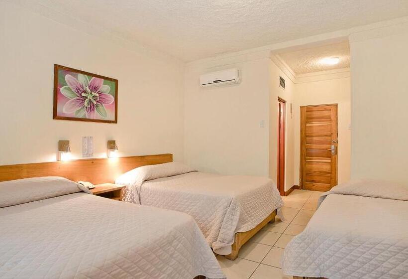 חדר משפחתי, Boyeros