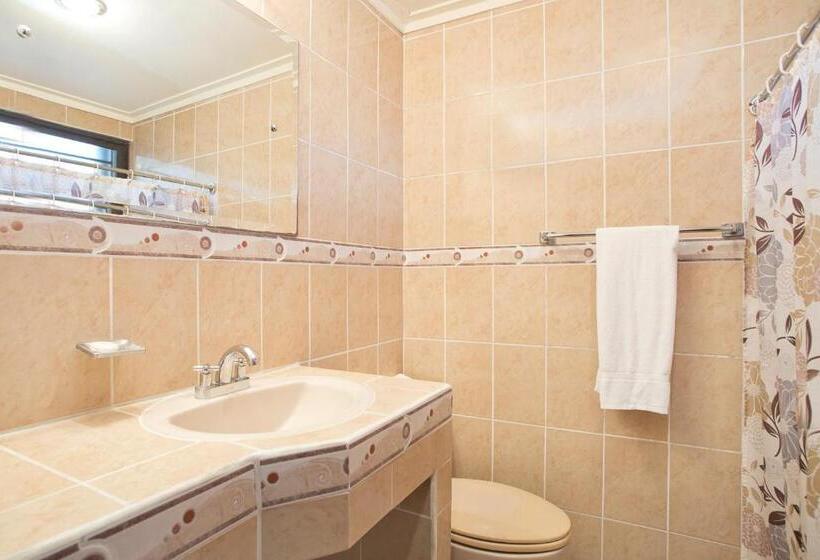 חדר משפחתי, Boyeros