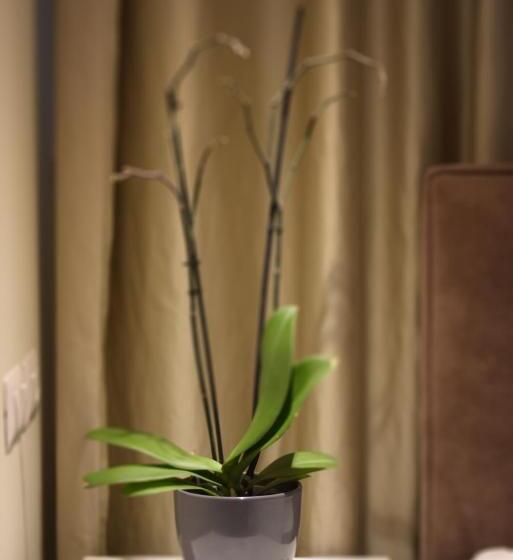 Cameră Standard Individuală, Oresti Center