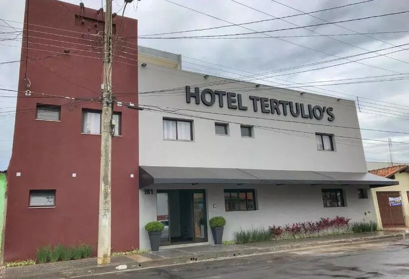 エクゼクティブトリプル, Tertulio S