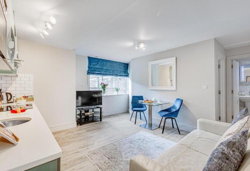 带1个卧室的高级公寓, Nell Gwynn Chelsea Accommodation