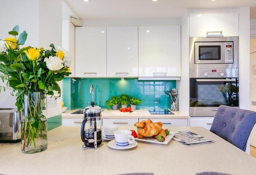 带1个卧室的豪华公寓, Nell Gwynn Chelsea Accommodation