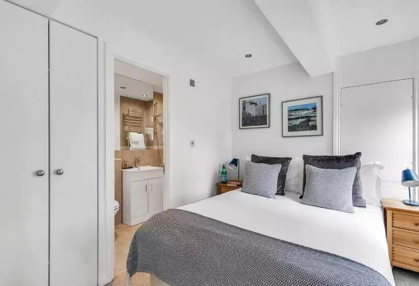 آپارتمان سوپریور 1 خوابه, Nell Gwynn Chelsea Accommodation
