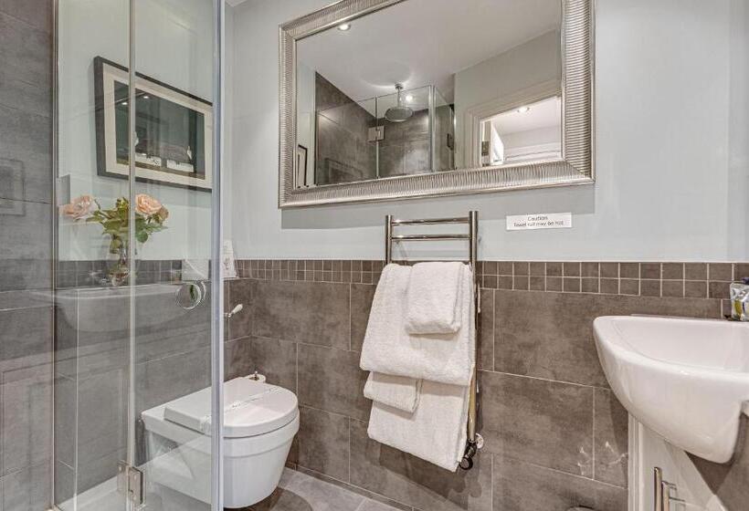 带1个卧室的豪华公寓, Nell Gwynn Chelsea Accommodation