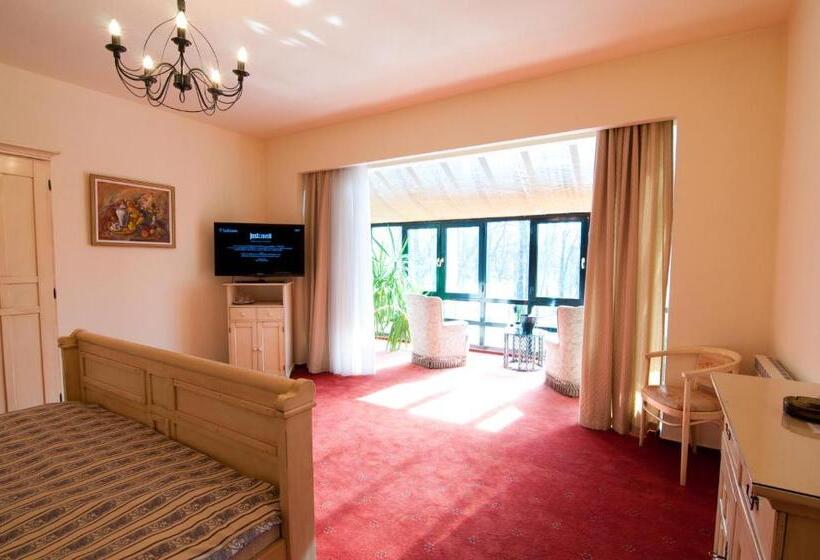 Номер Deluxe, The Elite Oradea S Legendary