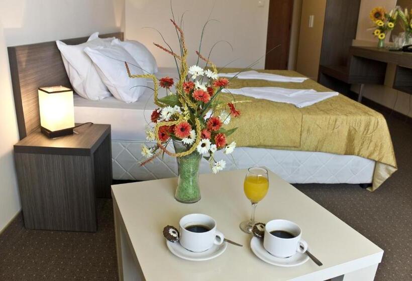 Standard Værelse, Flagman