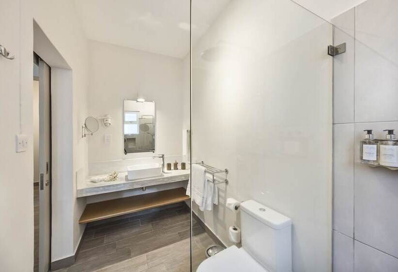 اتاق استاندارد, The Bay