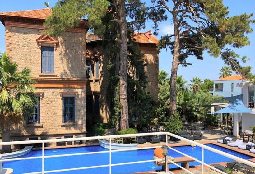 침실 1개 아파트, The Loriet