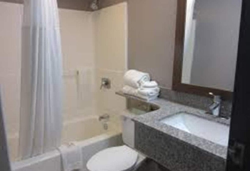 デラックスルーム, Motel 6 Denton, Tx  Unt