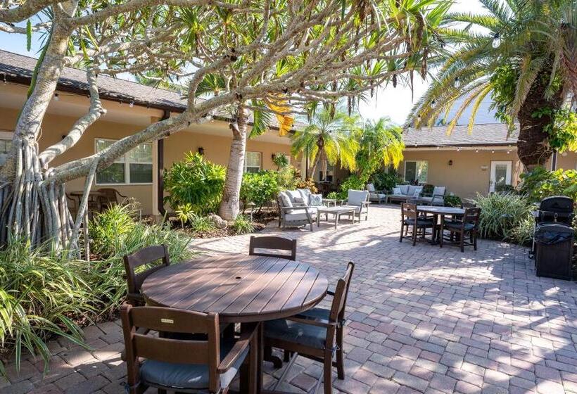 جناح, The Capri At Siesta