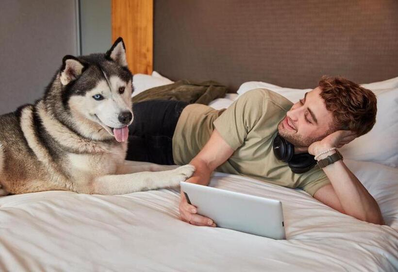 Стандартный Номер Кровать Кинг, Aloft Raleigh