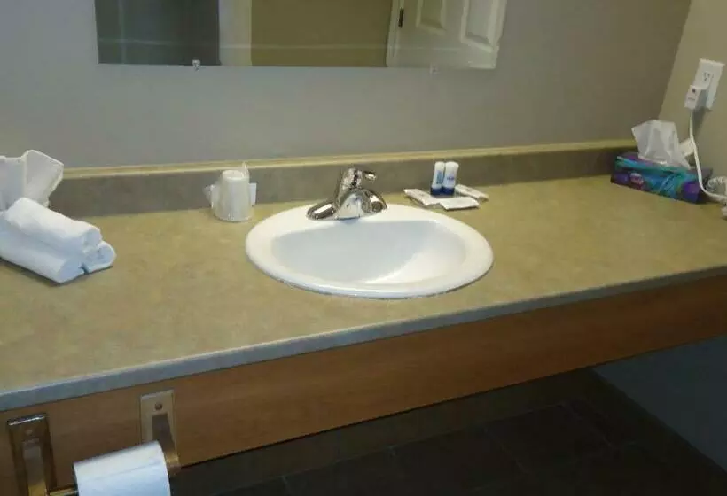 スタンダードルーム, Auberge Bouctouche Inn & Suites