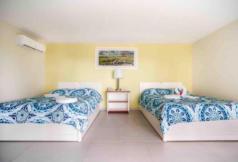 חדר דלוקס, Captain Don's Habitat