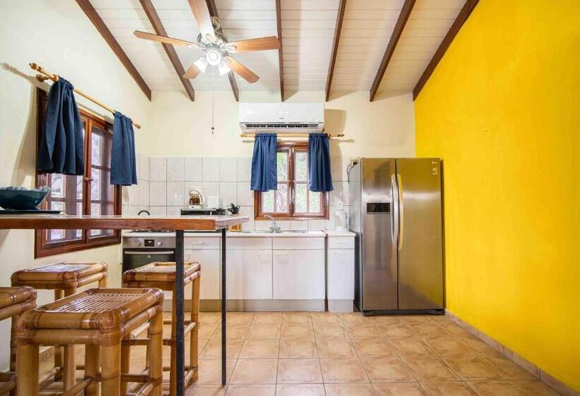 בונגלו משפחתי, Captain Don's Habitat