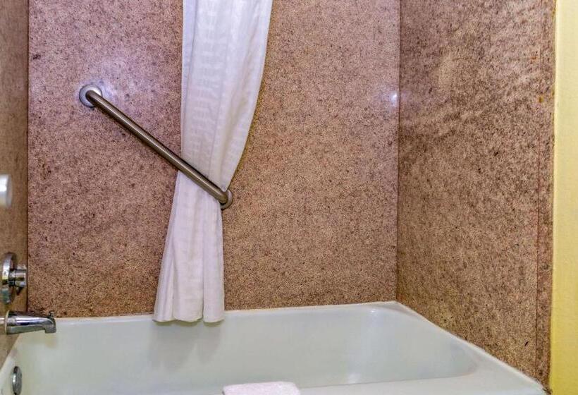 キングサイズベッドのスタンダードルーム, Econo Lodge Weldon  Roanoke Rapids