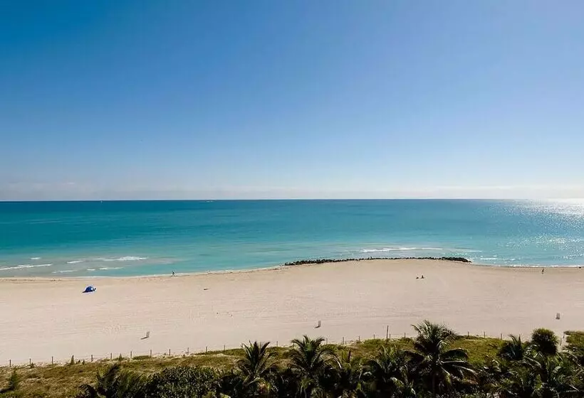 オーシャンビューのプレミアムルーム。, Faena Hotel Miami Beach