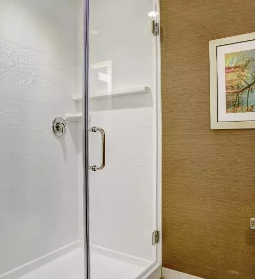 キングサイズベッドのスタンダードルーム, Fairfield Inn & Suites By Marriott Rochester Mayo Clinic Area/saint Marys