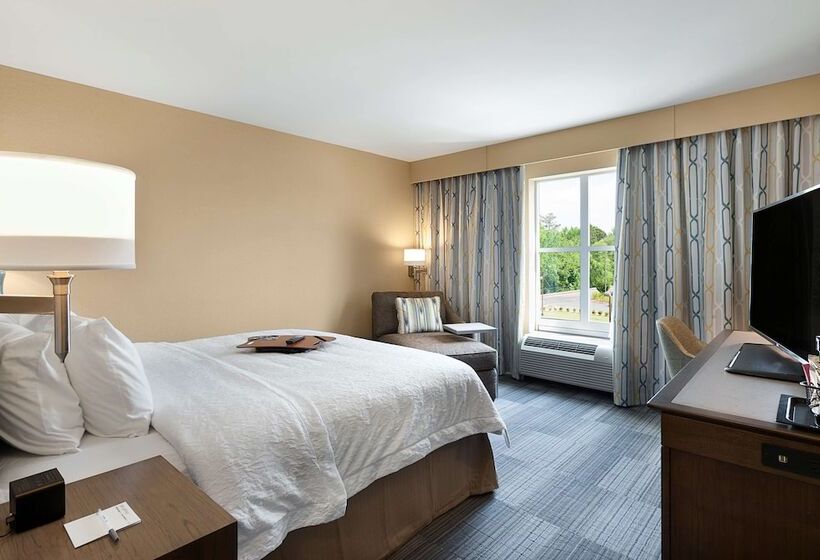 带大床的标准间, Hampton Inn & Suites Fort Mill