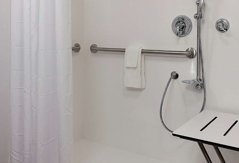 غرفة قياسية سرير كينج لذوى الإحتياجات الخاصة, Hampton Inn & Suites Fort Mill